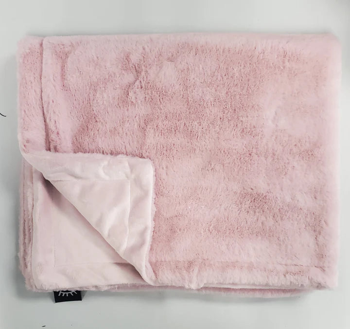 Winx + Blinx Minky Blanket