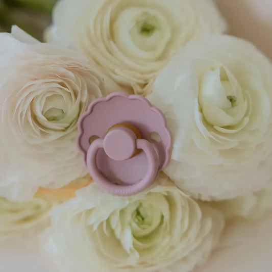 Soft Lilac Daisy