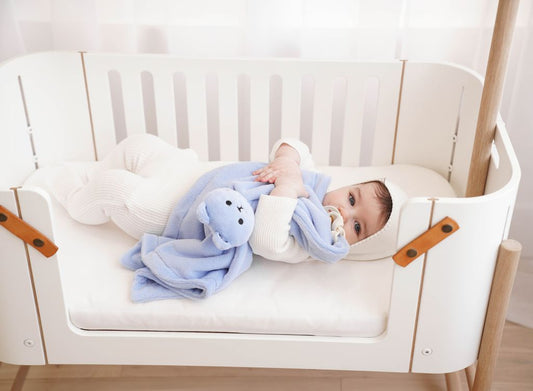 Blue Teddy Bear Lovey with Pacifier Holder