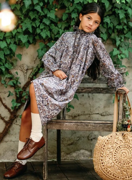 Paisley Dress