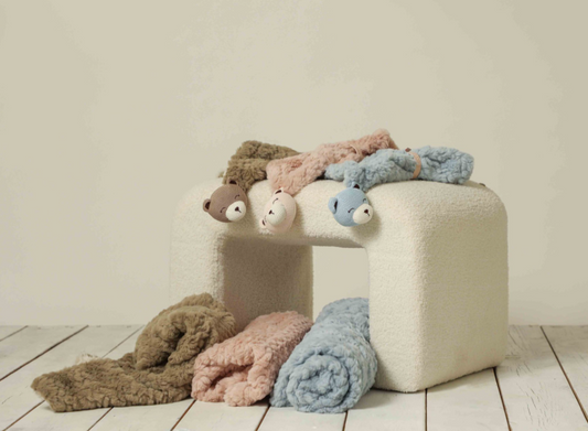 Cozy Chic Teddy Lovey