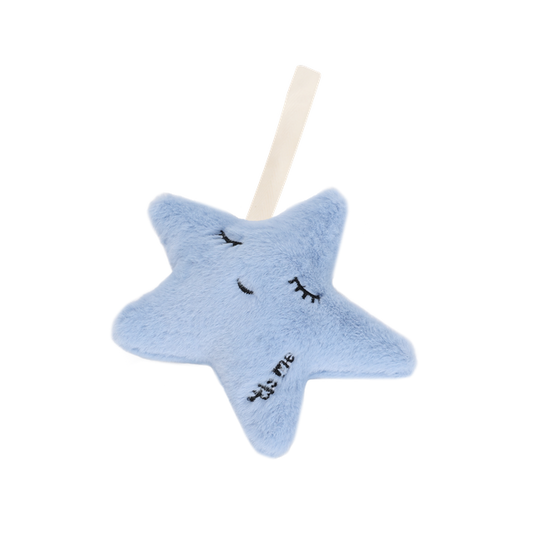 Blue Star Rattle + Paci Holder