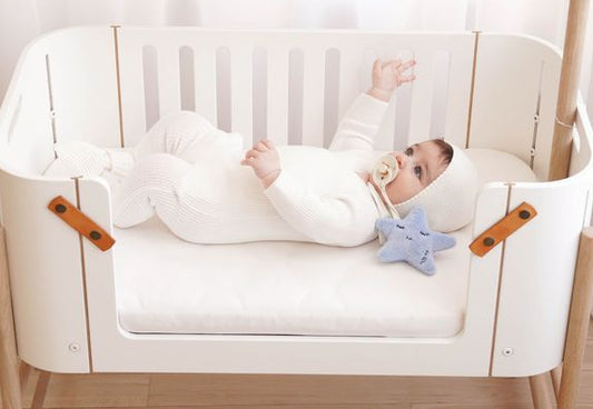 Blue Star Rattle + Paci Holder